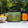 Tivoli Audio SongBook Green Портативная аудиосистема